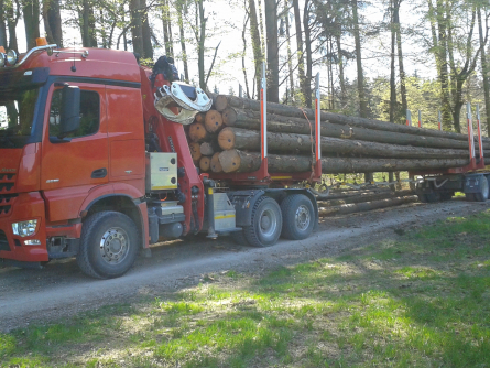 luberholztransporte10